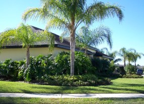 Landscaping Lakeland FL